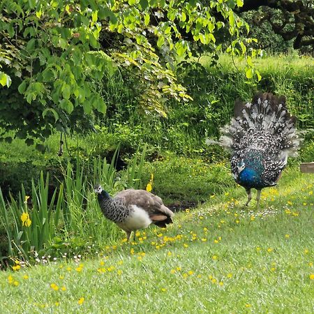Rowrah Hall Arlecdon Dış mekan fotoğraf